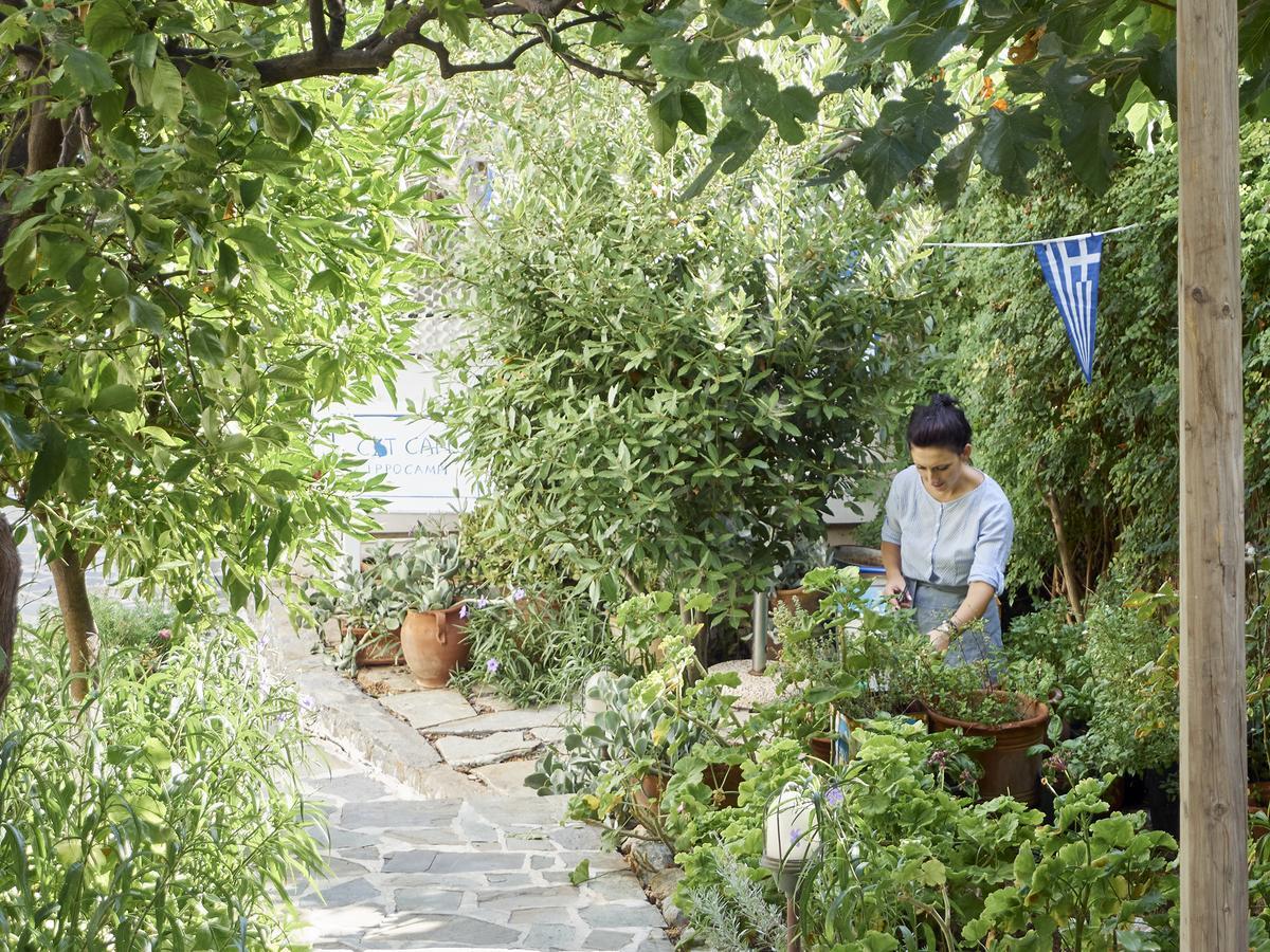 Villa Ippocampi - Adults Only Hersonissos  Ngoại thất bức ảnh